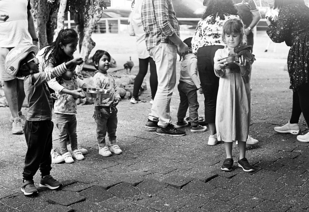 Bird Feeding - Sean Smith Photography