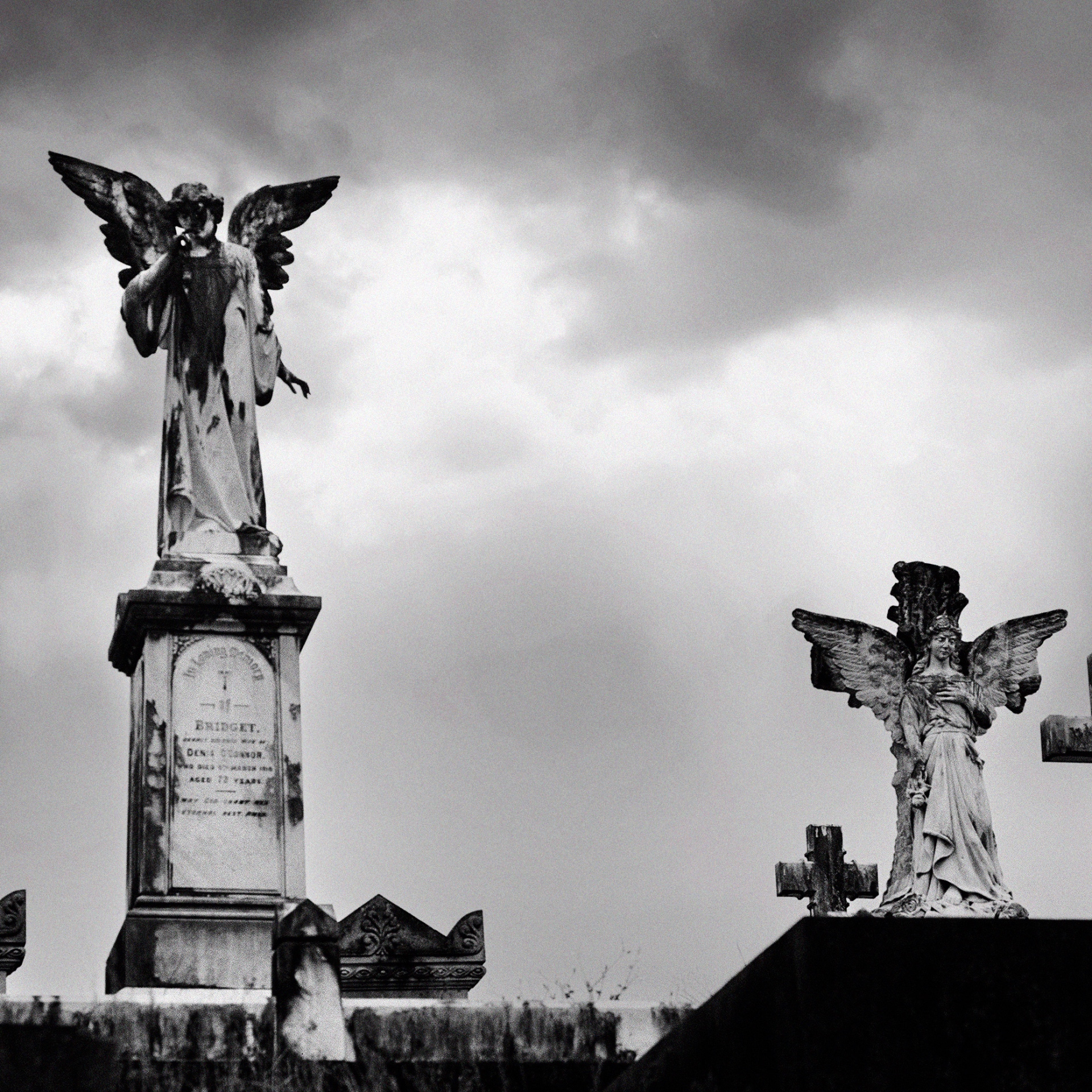 Toowong Cemetery B&W film photography - Sean Smith Photography