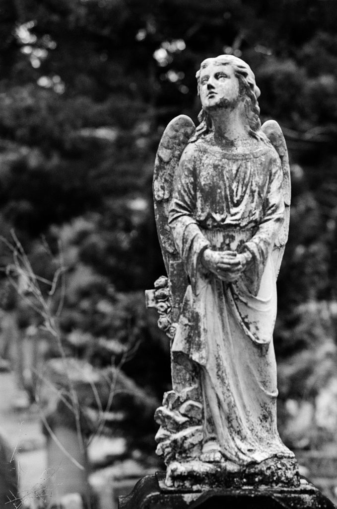 Toowong Cemetery - Sean Smith Photography